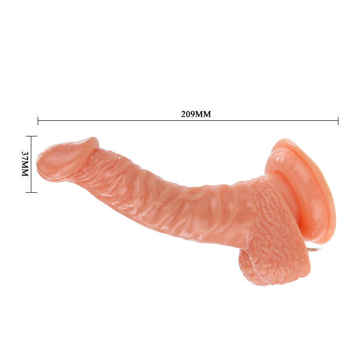 Super Rota dong 20.5cm